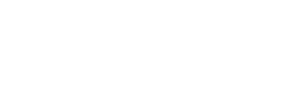 Standard Logo WHITE